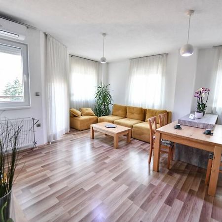 Exclusive 7- New Modern Cozy Apartment Kocsani Kültér fotó